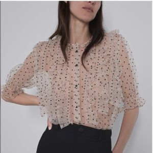 Zara Polka Dot Organza Top